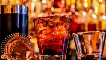 Guy Got So Hammered He Legally Changed His Name To ‘Celine Dion’ And Didn’t Even Remember Doing It