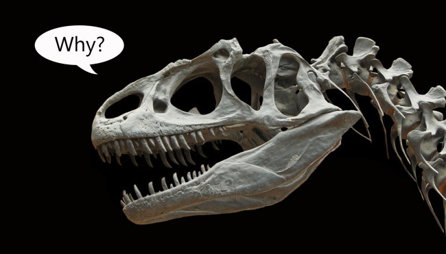 220 Million-Year-Old Dinosaur Footprint Site Damaged With Sledgehammers