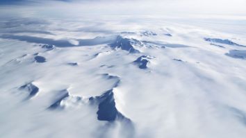 San Diego Man Who Lost His Wallet 53 Years Ago Gets It Back – From Antarctica