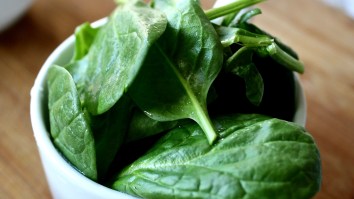 Scientists Have Now Taught Salad To Send Emails To People For ‘Plant-To-Human Communication’