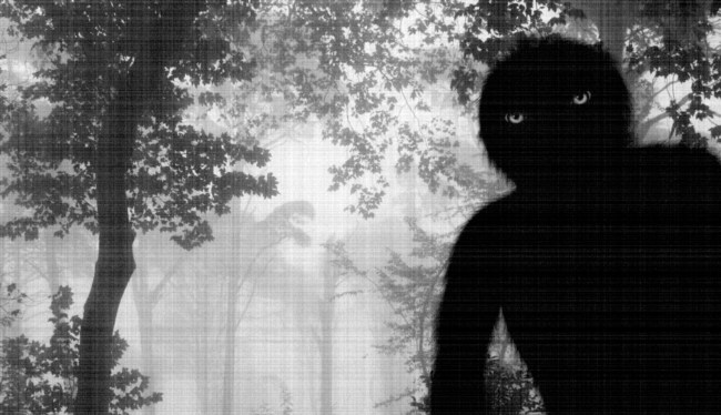 Strange Bigfoot Sighting Captured On Video In The Florida Panhandle