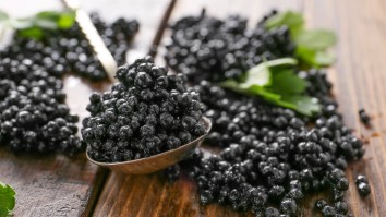 Wildlife Official Known As ‘Sturgeon General’ Busted For Accepting $20K Of Illegal Caviar