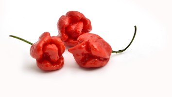 Complete Mad Man Eats 3 Carolina Reaper Peppers In 9.73 Seconds And Sets New World Record
