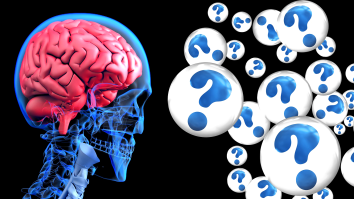 Mysterious Deadly Brain Disease With No Known Cause Or Cure Hits Eastern Canada