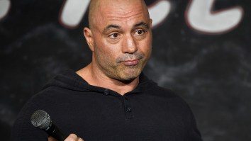‘I Care A Lot’ Is A Great Movie, Not Just Because Joe Rogan Told Me So