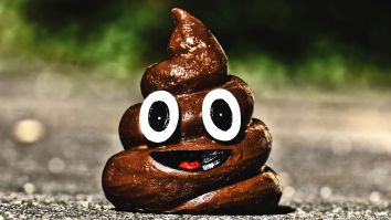 Science Explains How Your Butt Can Tell The Difference Between Poop And A Fart