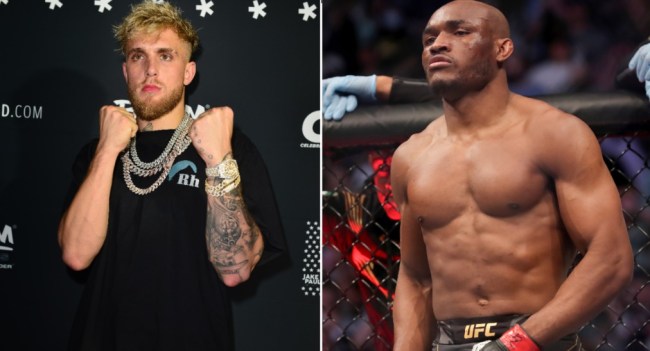Jake Paul Kamaru Usman 