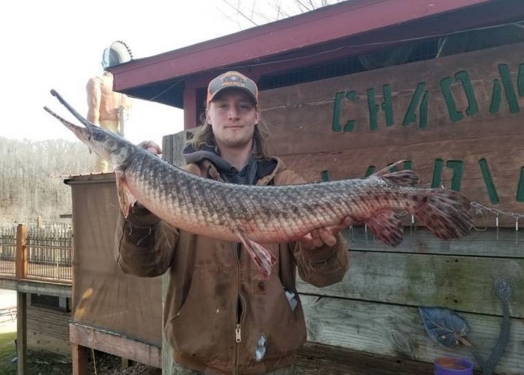new fishing world record spotted gar