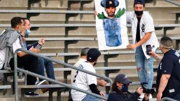 The Houston Astros Are Apparently Crying To The MLB About Fans Taunting Them In Stadiums