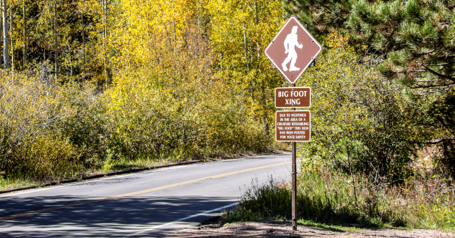 Oregon Hiker Shares TikTok Footage Of Alleged Bigfoot Sighting