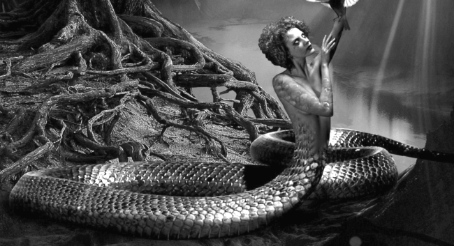 TikToker Convinces Viewers Women Peel Skin Off After Periods