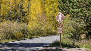Woman Reports Encounter With 8-Foot-Tall Bigfoot In Ohio Area Known For Sightings