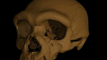 ‘Dragon Man’ Skull Discovered By Scientists In China Raises Questions About Human Evolution