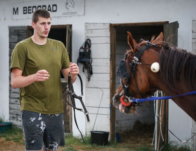Nikola Jokic Horse