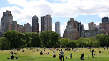 New York City Is Planning A Massive Reopening Concert In Central Park With Big-Name Artists And It’s Going To Be Wild