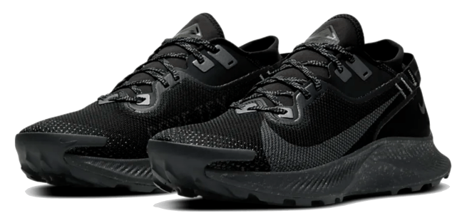 Nike Pegasus Trail 2 GORE-TEX