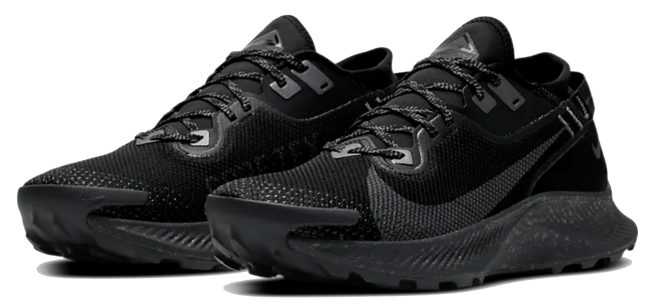 Nike Pegasus Trail 2 Gore TEX