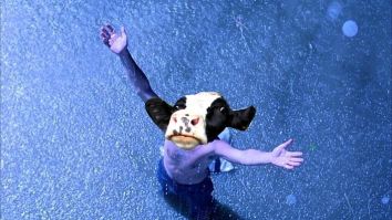 40 Cows Led Police On A Chase After Escaping A Slaughterhouse And The Footage Will Make You Go Vegan