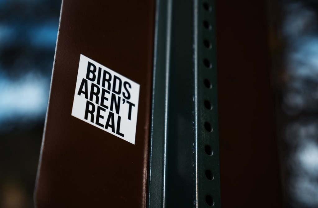 Birds Aren't Real rally Missouri funny