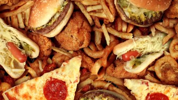 Healthy Doctor Switches To 80% Ultra-Processed Food Diet For 30 Days And His Body Transformation Is Wild