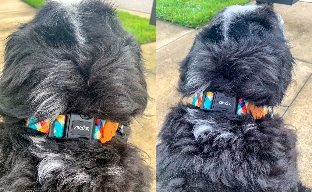 Hands-Free Dog Leashes Zee.Dog adjustable rope dog leash