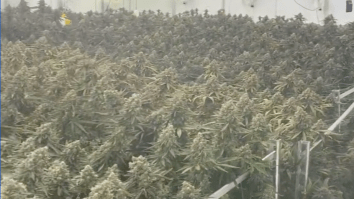 Paul Pierce Shares A Video Of His Massive Marijuana Grow House And You’ll Get A Contact High Just By Watching It