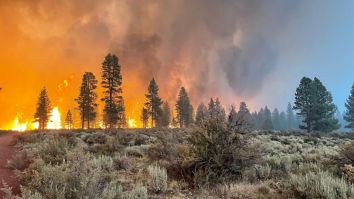 Oregon’s Bootleg Wildfire Is So Massive That It Is Literally Creating Its Own Weather