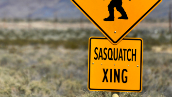 Man In Iowa Photographs What He Believes Is Bigfoot In Latest Sighting Of The Mythical Creature