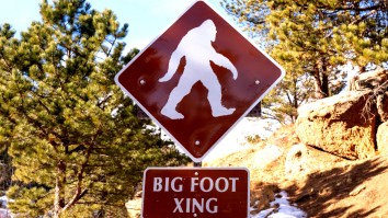 Bigfoot Sighting Caught On Video In Michigan Has Experts Baffled