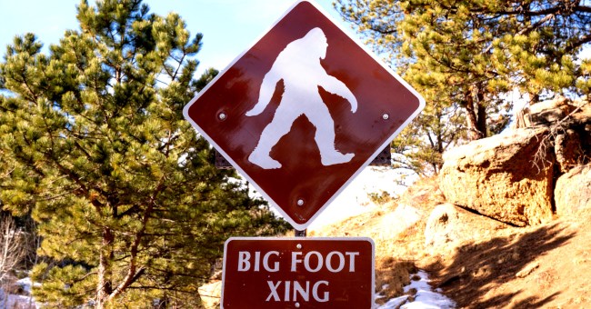 New Bigfoot Sighting Caught On Video In Michigan Has Experts Baffled