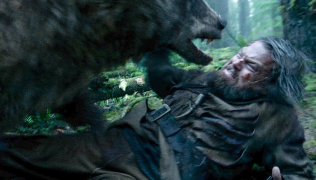 grizzly bear attacked stalked man alaska