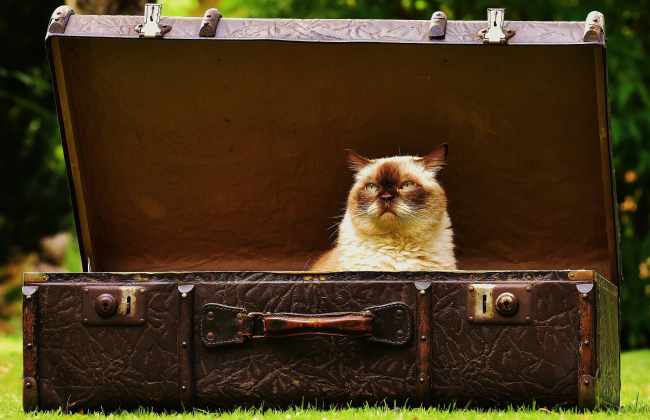Why Vacations Feel Like Theyre Over Before They Even Start