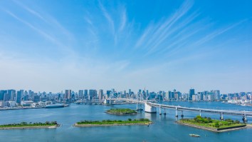 Japan Forced To Spend $1.3 Million Removing 28,000 Pounds Of Oysters That Invaded The Olympic Rowing Course And Destroyed It