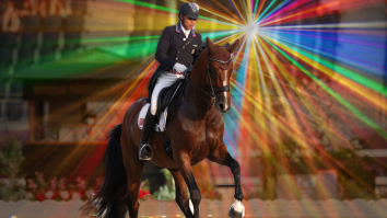 American ‘Rave Horse’ Dazzles The World With Remarkable Dance Moves At The Olympics