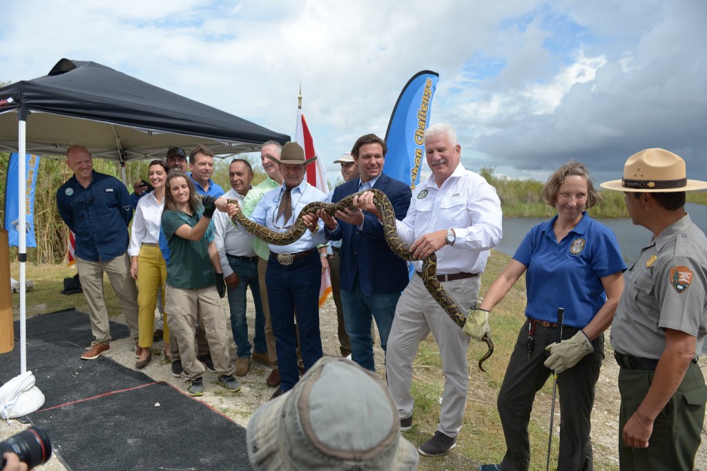 2021 Florida Python Challenge results huge snakes caught