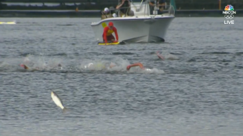 A Flying Fish Was So Close To Winning A Gold Medal At The Tokyo Olympics But Choked Away The Podium