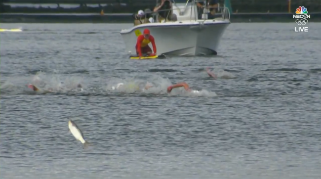 Flying Fish Olympics Open Water Swim