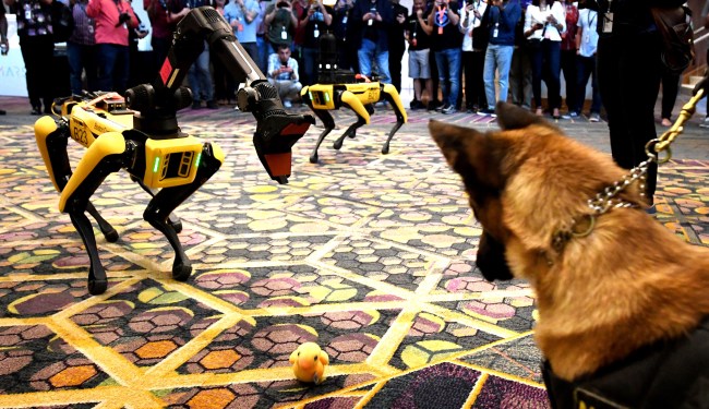 TikTok Video University Of Missouri Students Robot Police Dogs