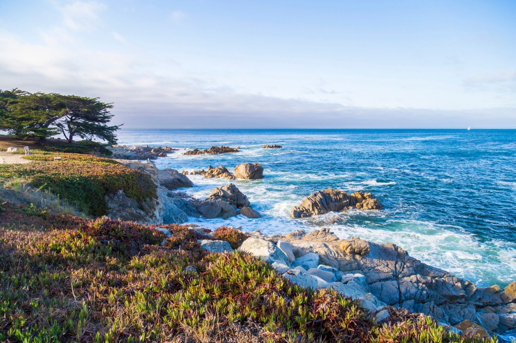 Monterey Bay shapeshifting whalefish spotted