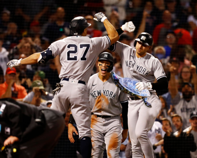 Yankees Turtle Bronxie