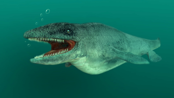18 Foot Long Prehistoric Sea Monster Discovered In Kansas – Where The Ocean Used To Be