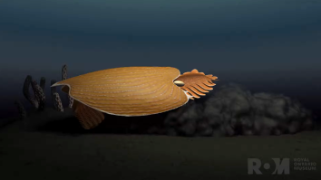 500 Million Year-Old ‘Alien-Looking’ Sea Creature – A Completely New Species – Discovered In Canada