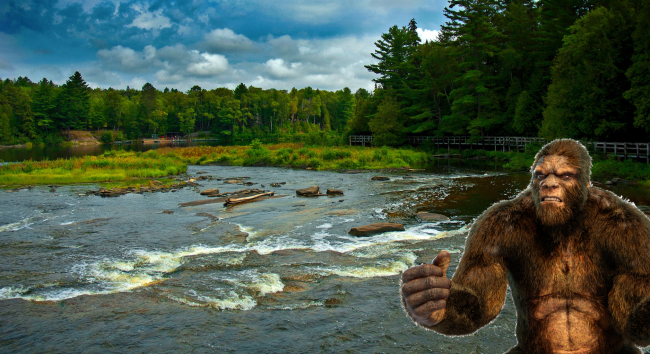 Hunters In Michigan Claim To Have Seen Two Bigfoot Creatures Fighting