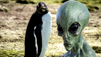 New Discovery Leads Scientists To Believe Penguins Could Actually Be Aliens