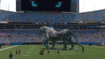 The Carolina Panthers Released A ‘Mixed Reality’ Panther Video Before Game Against Jets And It Was Incredible