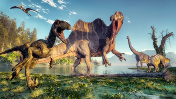 Two New Dinosaur Species Discovered, Including The Nightmarish ‘Horned Crocodile-Faced Hell Heron’