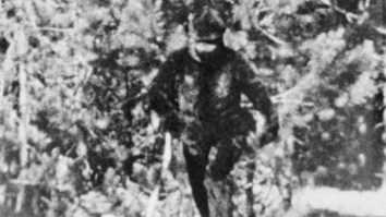 Possible Bigfoot Location Reported As Tracks Are Discovered Near Mount St. Helens In Washington
