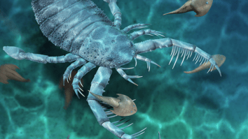 Scientists Discover Fossils Of A Terrifying, Giant ‘Sea Scorpion’ That Lived 435 Million Years Ago