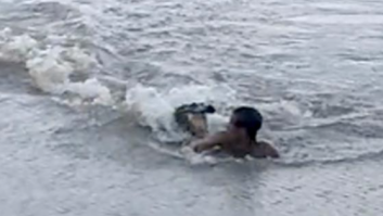 Terrifying Moment Lightning-Fast Alligator Torpedo Attacks Swimmer Who BARELY Escapes