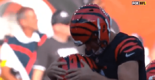 Bengals 